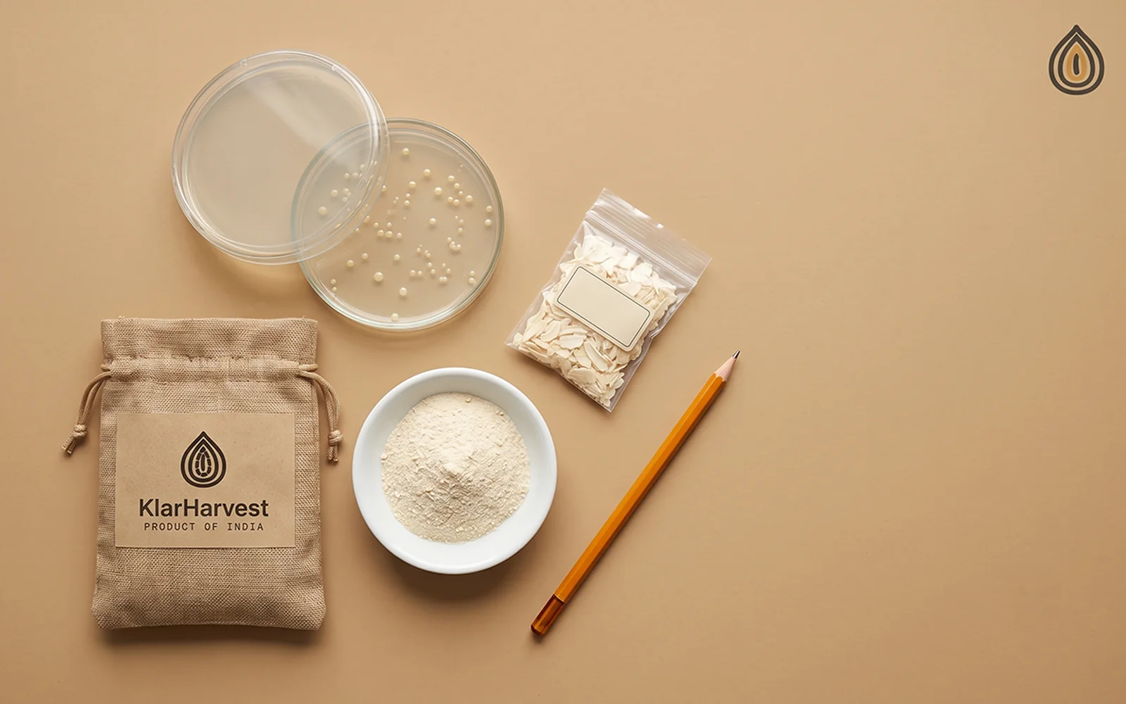Three petri dishes, a dish of onion powder and a sample bag of onion flakes on a plain backdrop