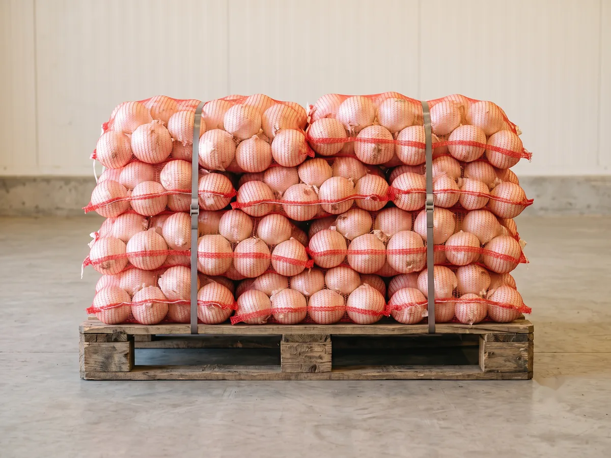 Mesh bags of fresh pink onions with light rose skins, stacked and strapped on a wooden pallet, ready for a ventilated container.