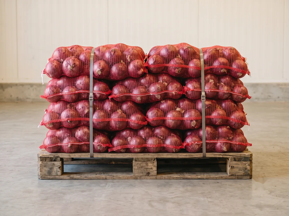 Mesh bags of fresh red onions with deep red-purple skins, stacked and strapped on a wooden pallet, ready for a ventilated container.