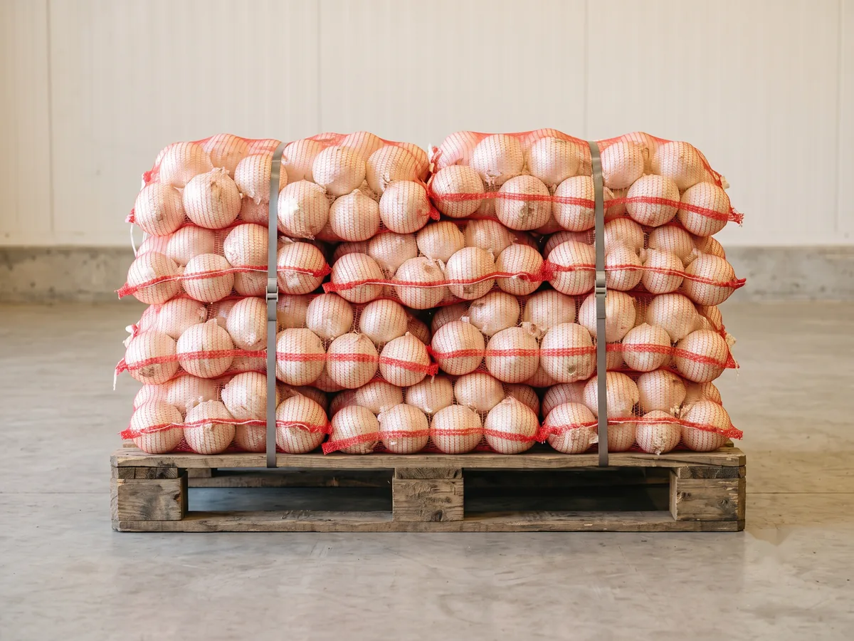 Red mesh bags of fresh white onions, stacked and strapped on a wooden pallet, ready for a ventilated container.