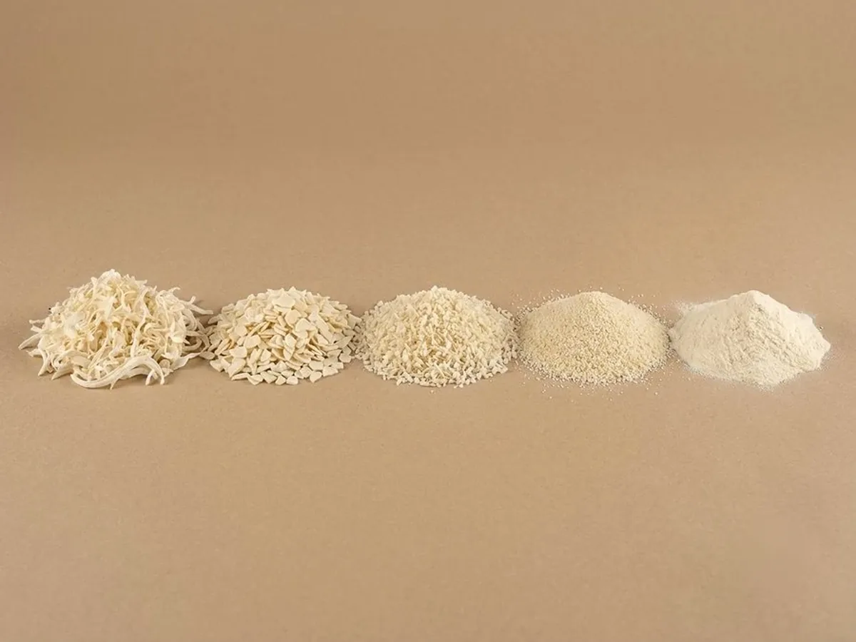 Five piles of dehydrated white onion beside whole fresh onions on kraft paper, flakes to powder.
